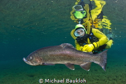 Trout with diver in a German Mountain Lake by Michael Baukloh 